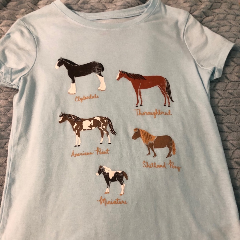 Horse T, cat & Jack